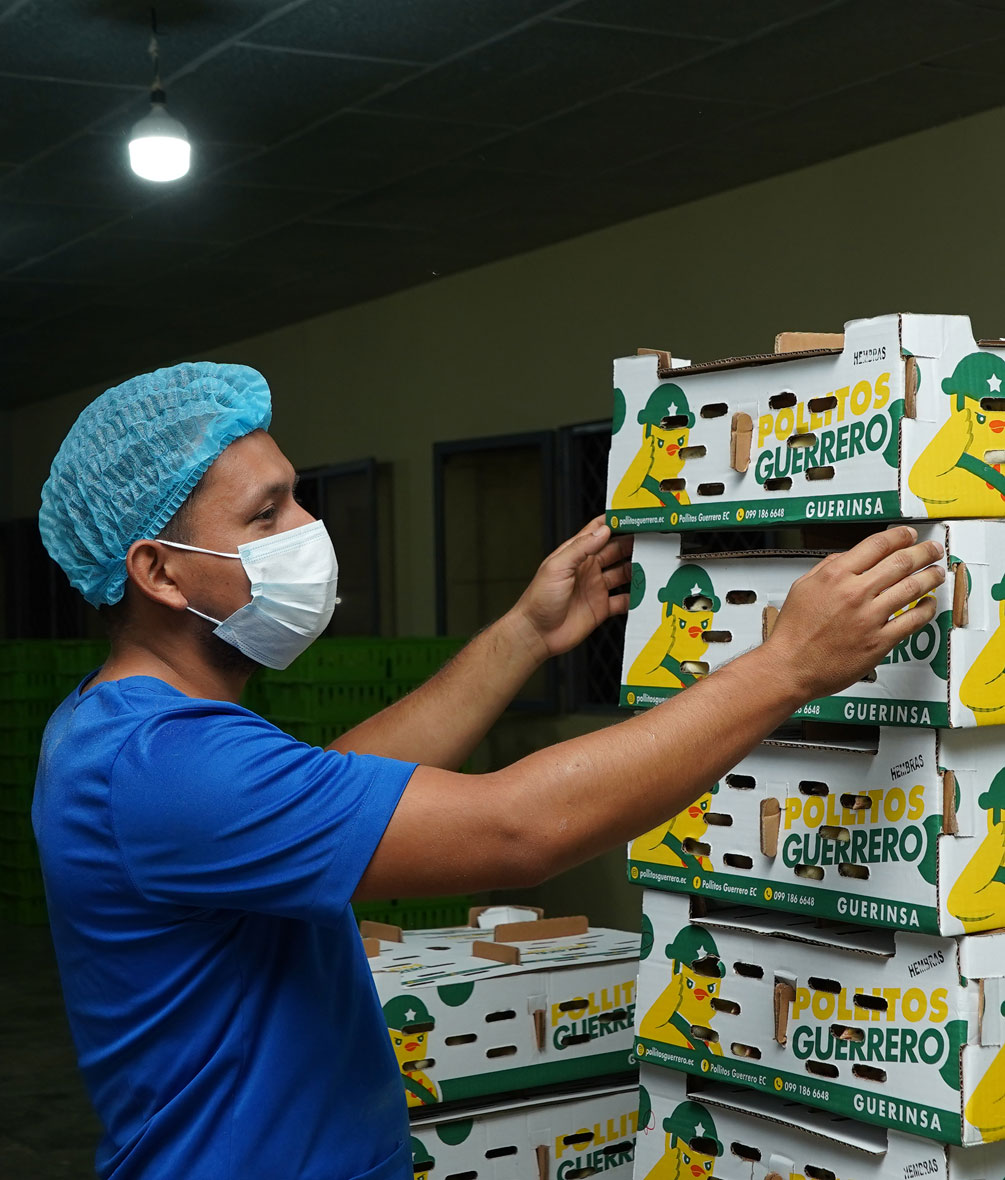 Pilares-de-confianza